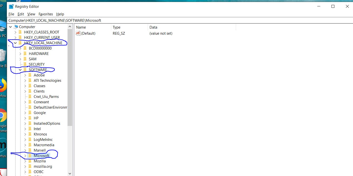 HKEY_LOCAL_MACHINE >>> SOFTWARE >>> MICROSOFT